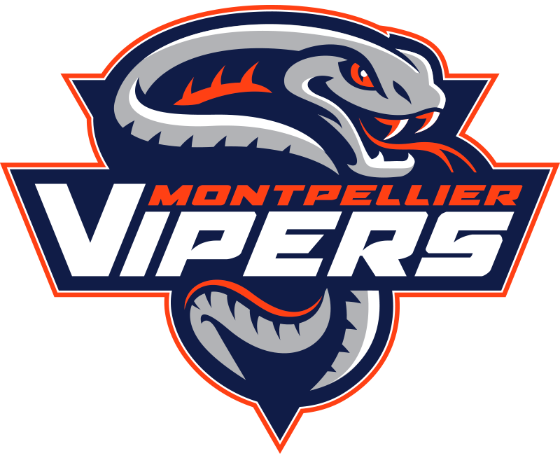Logo Hockey Vipers Montpellier